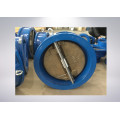 Dn50-Dn600 Wafer Check Valve with Two Disc